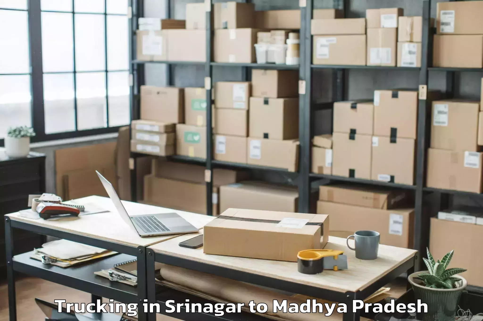 Book Srinagar to Pipariya Trucking Online